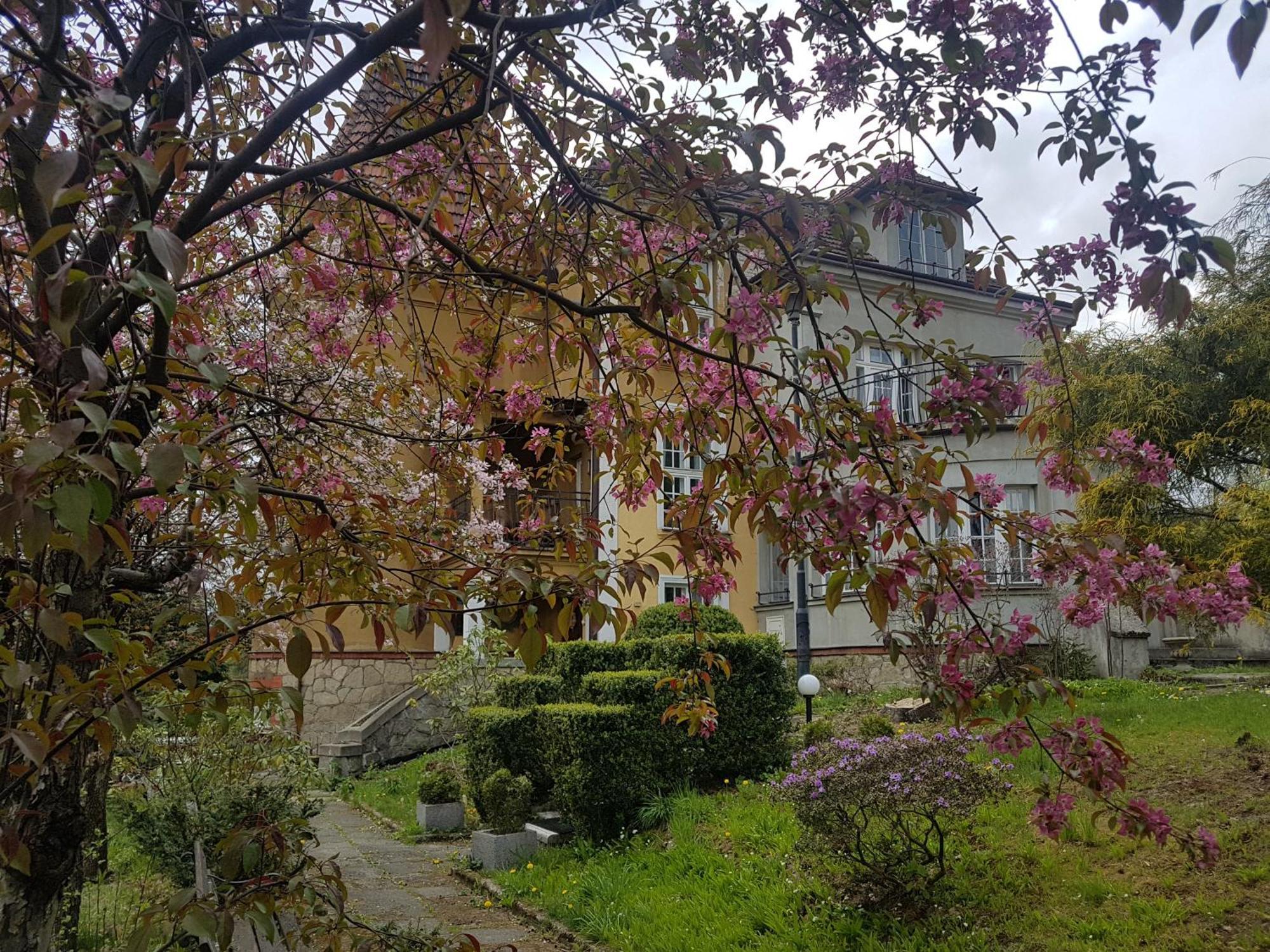 Willa Marysin Makow Podhalanski Exterior photo